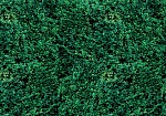 For Wall Соло (Solo) 2623P8