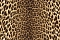 Emiliana Parati Roberto Cavalli №9 21041