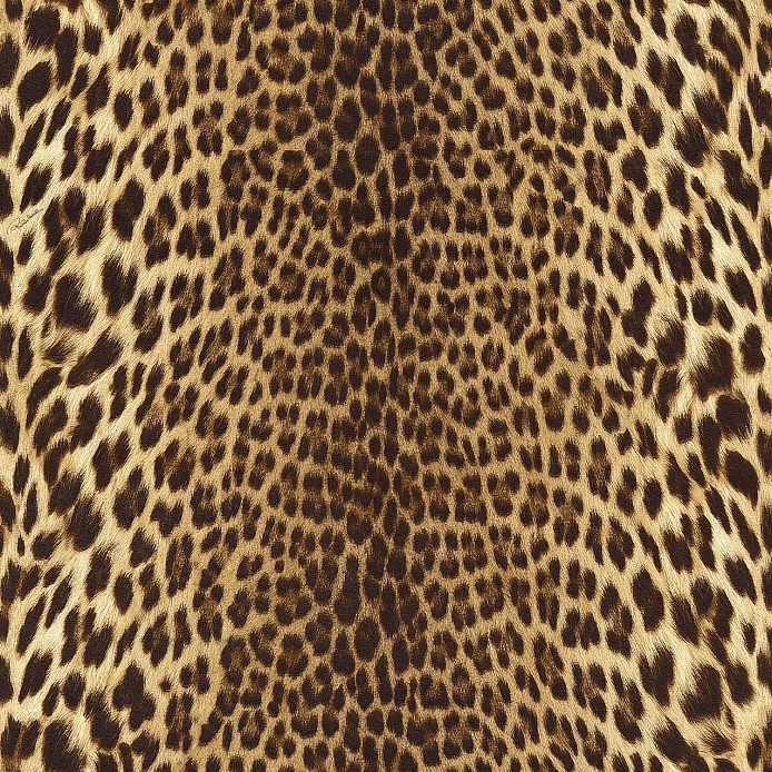 Roberto Cavalli Roberto Cavalli №9 21041