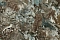 Decori-Decori Каррара 3 (Carrara 3) 84611