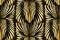 Roberto Cavalli Roberto Cavalli №8 19001