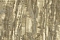 Emiliana Parati Каррара 3 (Carrara 3) 84633