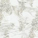 Roberto Cavalli Roberto Cavalli №9 21012
