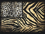 Roberto Cavalli Roberto Cavalli №8 19102