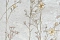 Accento Июль 640103