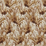 Roberto Cavalli Roberto Cavalli №9 21009