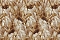 Roberto Cavalli Roberto Cavalli №9 21009