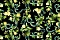 Emiliana Parati Roberto Cavalli №9 21104