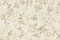 Blumarine Блюмарин №5 (Blumarine №5) 29030BM
