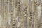 Roberto Cavalli Roberto Cavalli №8 19065