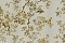Roberto Cavalli Roberto Cavalli №8 19044