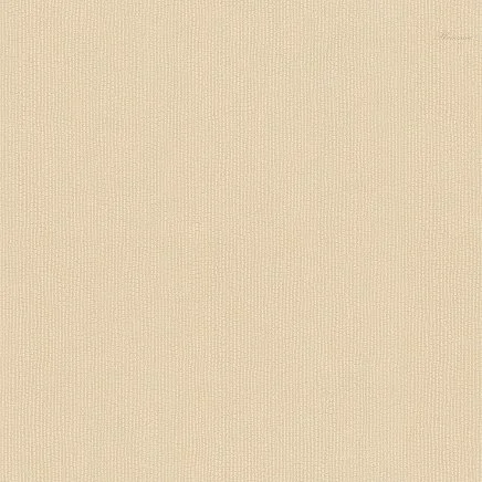 Blumarine Блюмарин №6 (Blumarine №6) 31055BM
