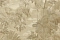 Monica История (La Storia) MS10403