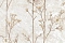 Accento Июль 640105