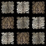 Roberto Cavalli Roberto Cavalli №8 19106