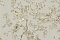 Emiliana Parati Roberto Cavalli №8 19050