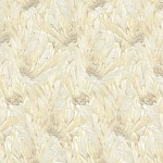 Roberto Cavalli Roberto Cavalli №9 21004