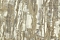 Decori-Decori Каррара 3 (Carrara 3) 84637