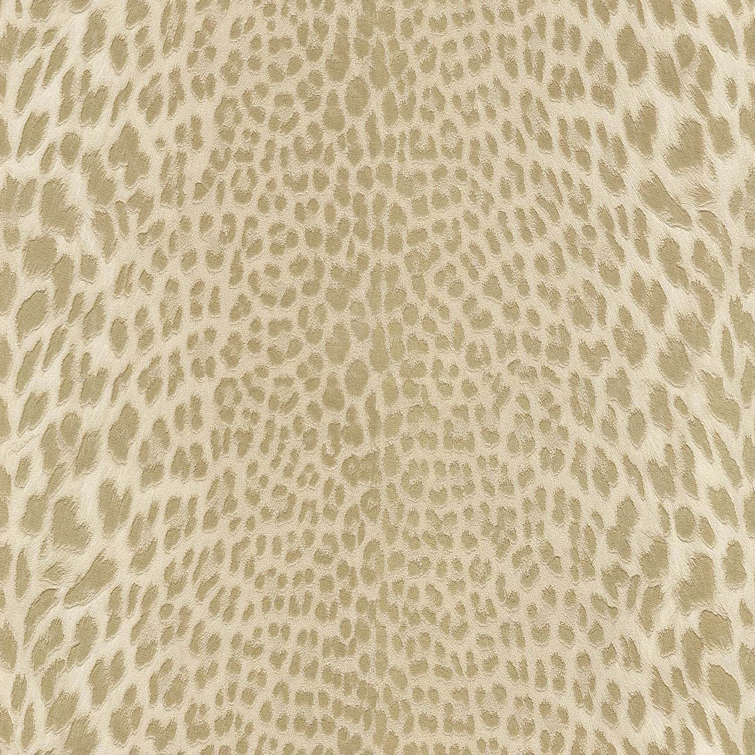 Roberto Cavalli Roberto Cavalli №9 21043