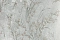 Accento Примула 169053